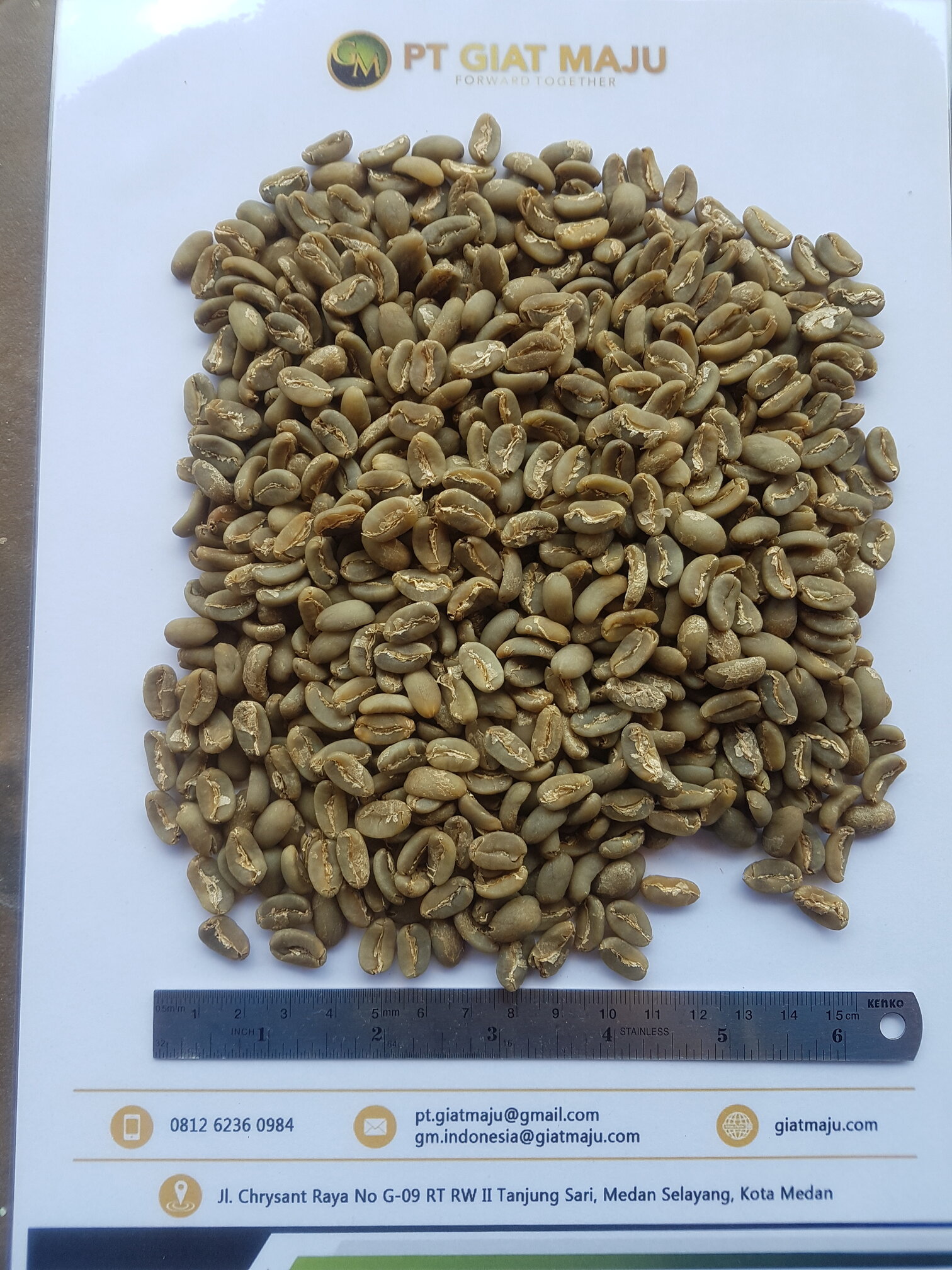 Gayo Arabica Long Berry Coffee Beans
